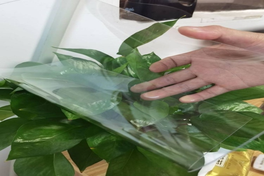 高透明PVC膠板廠家，專業塑料膠片PC膠片，防風帽PET片材
