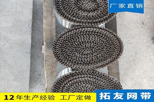 不銹鋼耐高溫輸送機傳送帶，果蔬清洗風干提升機網帶