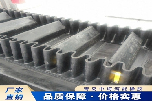 大傾角輸送帶EP300定制，中海海能裙邊環形傳送帶